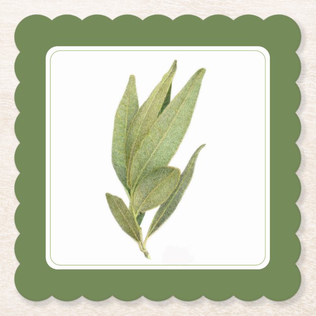 FRESH BAY LEAVES Fancy Square Coaster -text Green (Front)