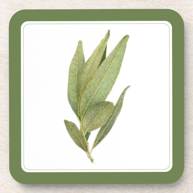 FRESH BAY LEAVES Hard Plastic Coasters -text Green (Front)
