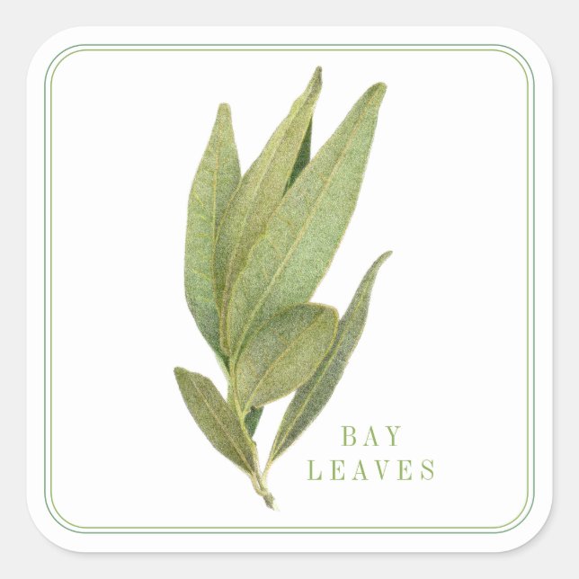FRESH BAY LEAVES Large Square Stickers (Front)