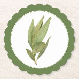 FRESH BAY LEAVES Scallop Round Coaster -text Green