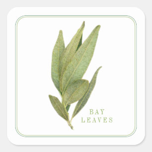 FRESH BAY LEAVES Small Square Stickers