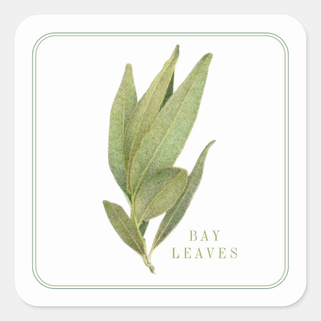 FRESH BAY LEAVES Small Square Stickers (Front)