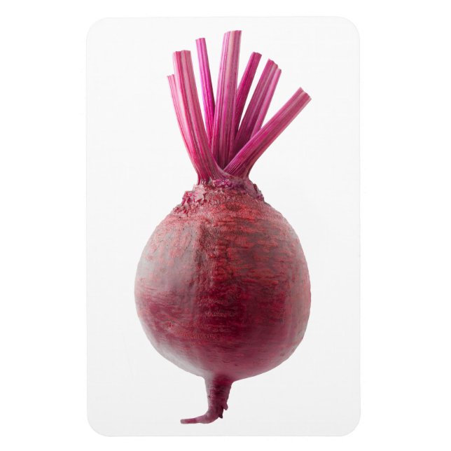 Fresh beetroot magnet (Vertical)