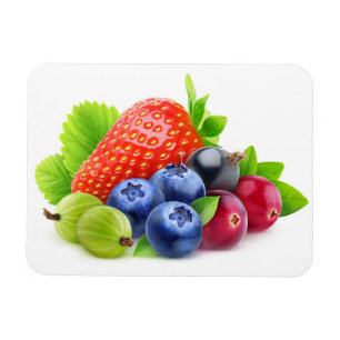 Fresh berries magnet
