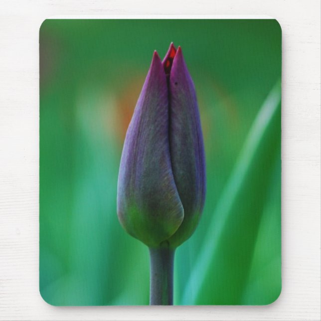 Fresh Blooming Purple Tulip Mouse Pad (Front)