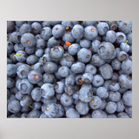 Fresh blueberry photography