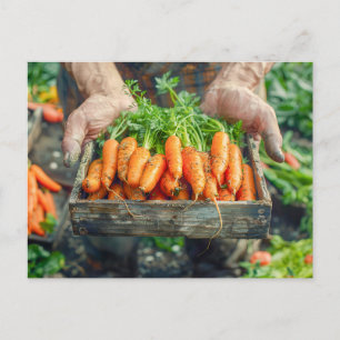 Fresh Carrots in Wooden Crate Holiday Postcard