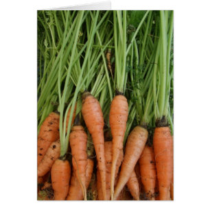 Fresh Carrots Vegetable Card