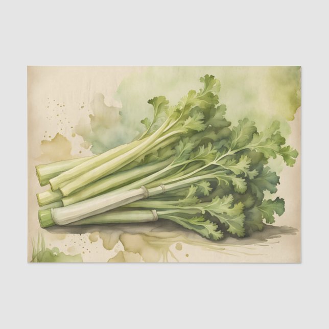 Fresh Celery Bunch Watercolor Tissue Paper (Front)