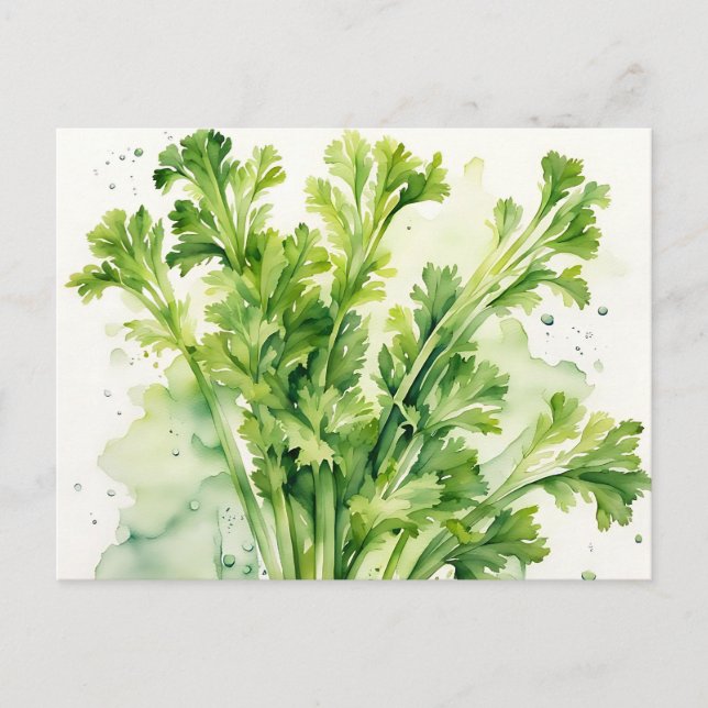 Fresh Celery Stalk Watercolor Botanical Postcard (Front)
