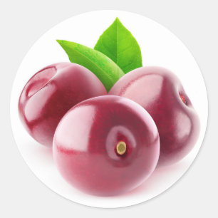 Fresh cherries classic round sticker