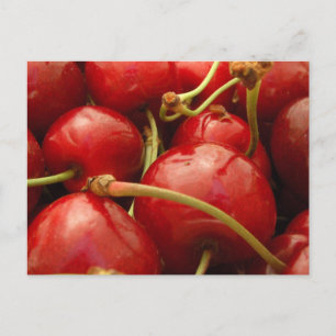 Fresh cherries postcard