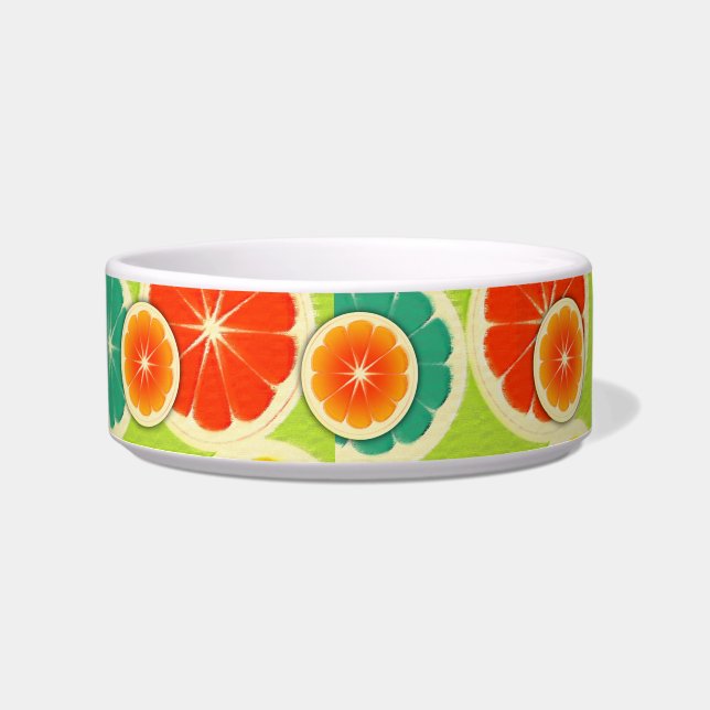 Fresh Citrus Fruit Design, Cute Colourful Bowl (Front)