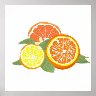 Fresh Citrus Slices Orange Lemon Poster