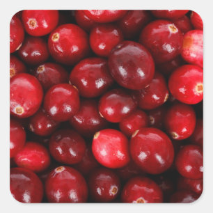 Fresh Cranberry Background Square Sticker