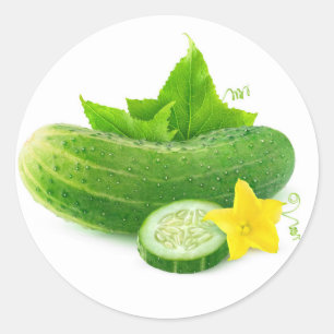 Fresh cucumber classic round sticker