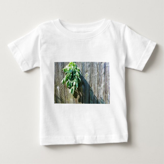 Fresh-cut Sage Barn-wood Baby T-Shirt (Front)