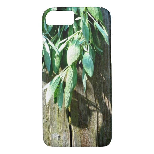 Fresh-cut Sage Barn-wood Case-Mate iPhone Case (Back)