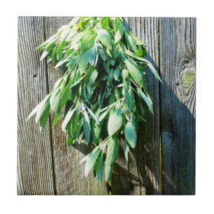 Fresh-cut Sage Barn-wood Ceramic Tile
