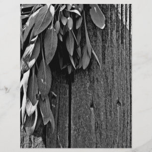 Fresh-cut Sage Barn-wood Grayscale