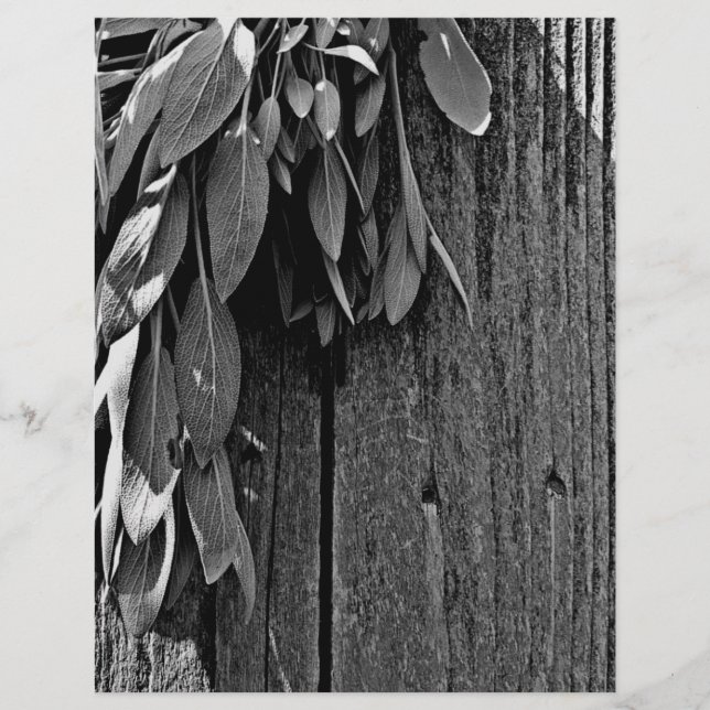Fresh-cut Sage Barn-wood Grayscale (Front)
