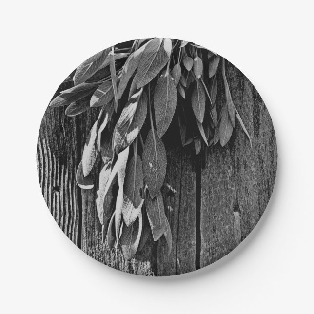 Fresh-cut Sage Barn-wood Grayscale Paper Plate (Front)