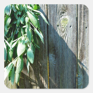 Fresh-cut Sage Barn-wood Square Sticker