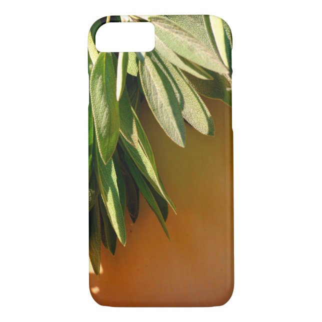 Fresh-cut Sage Case-Mate iPhone Case (Back)