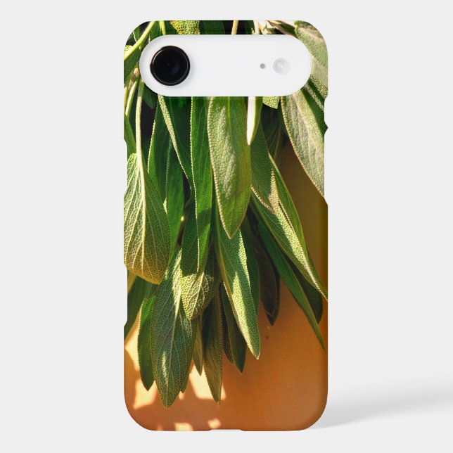 Fresh-cut Sage Case-Mate iPhone Case (Back)