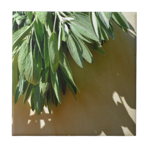Fresh-cut Sage Ceramic Tile