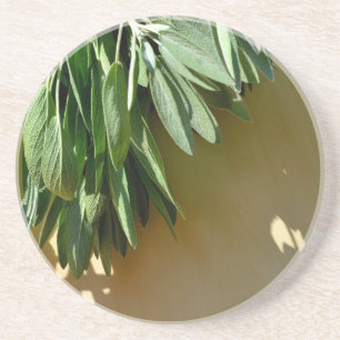 Fresh-cut Sage Coaster