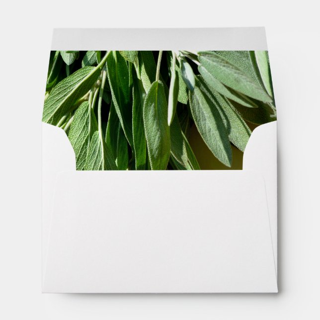 Fresh-cut Sage Envelope (Back (Bottom))