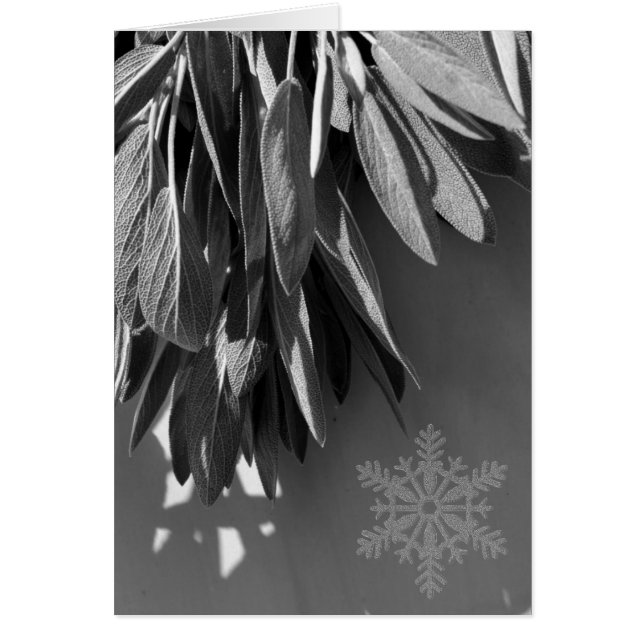 Fresh-cut Sage Grayscale (Front)