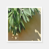 Fresh-cut Sage