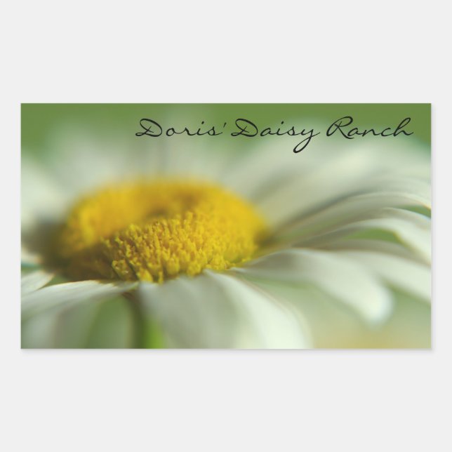 Fresh Daisy Rectangular Sticker (Front)