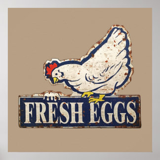 fresh eggs poster
