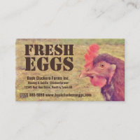 Fresh Eggs - Red hen Layer Chicken
