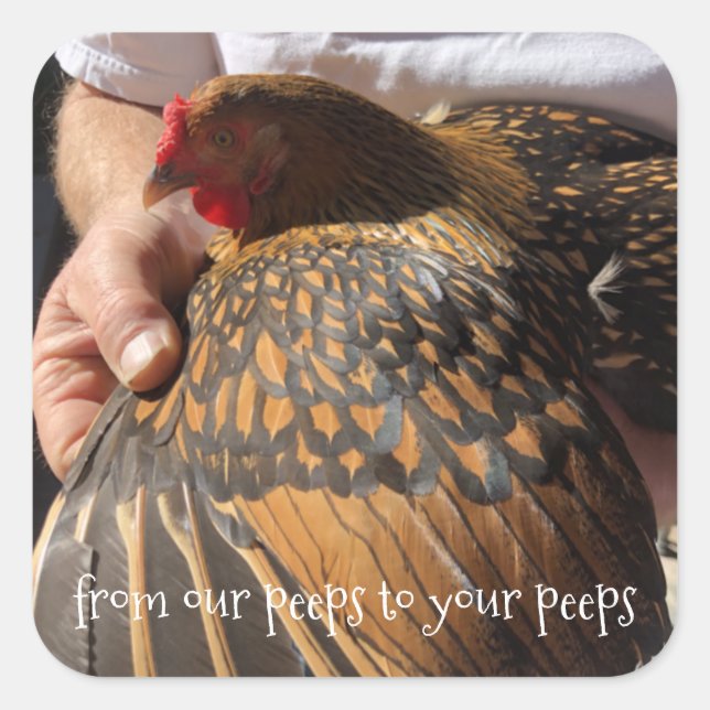 Fresh Eggs Stickers (Front)