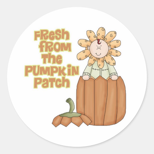 Fresh From Pumpkin Patch Baby Announcement Classic Round Sticker (Front)