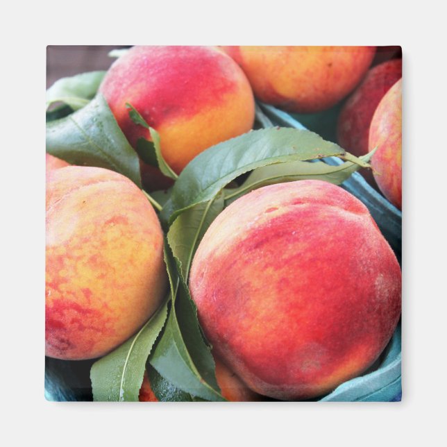 Fresh Fruit - Peaches Magnet (Front)