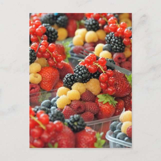 fresh fruits postcard (Front)