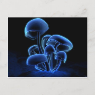 Fresh, Funky, Fashionable, Retro, Cool Postcard