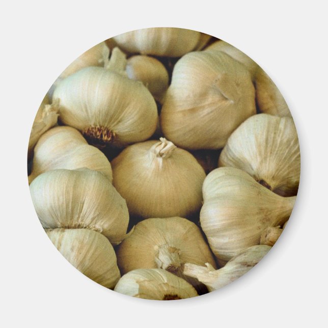 Fresh garlic Photo Magnet (Front)