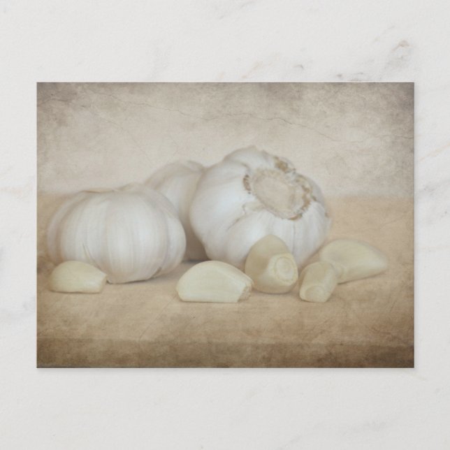Fresh Garlic Postcard (Front)