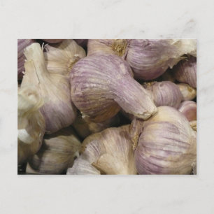 Fresh Garlic Postcard
