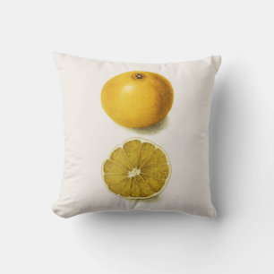 Fresh Grapefruit Cushion