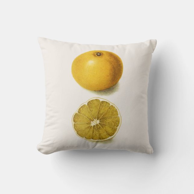 Fresh Grapefruit Cushion (Front)