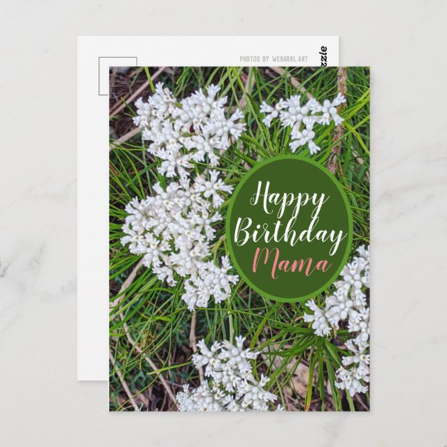 Fresh Green and White flowers Happy Birthday Mama Postcard (Front/Back)
