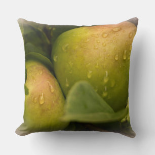 Fresh Green Apples Still on the Tree Cushion