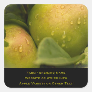 Fresh Green Apples with a Misty Border Business Square Sticker